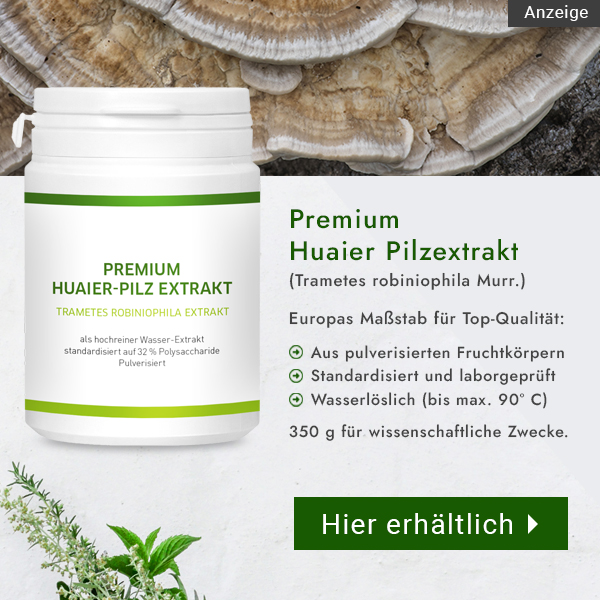 Anzeige - Banner Huaier-Pilz kaufen