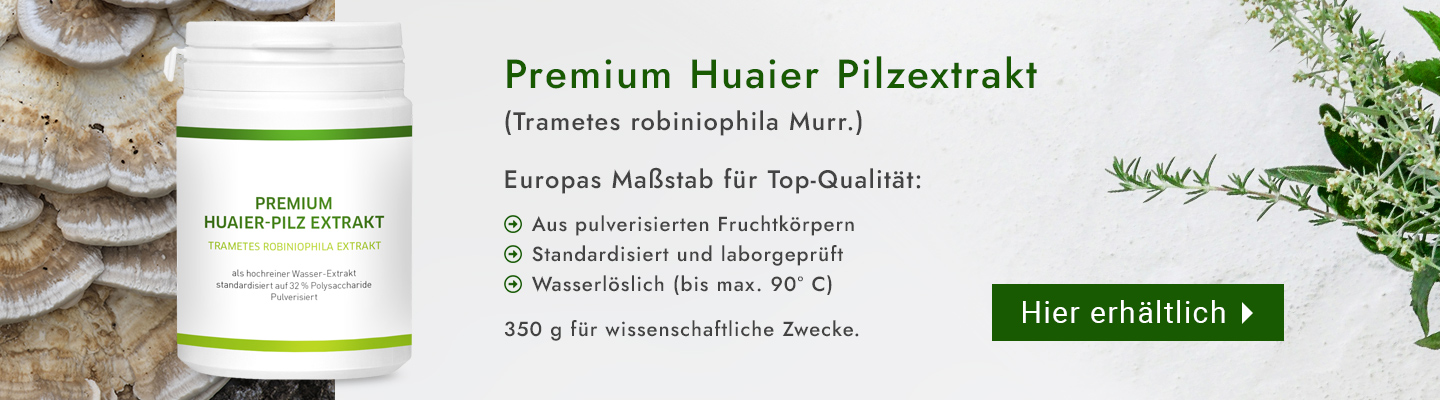 Anzeige - Banner Huaier-Pilz kaufen